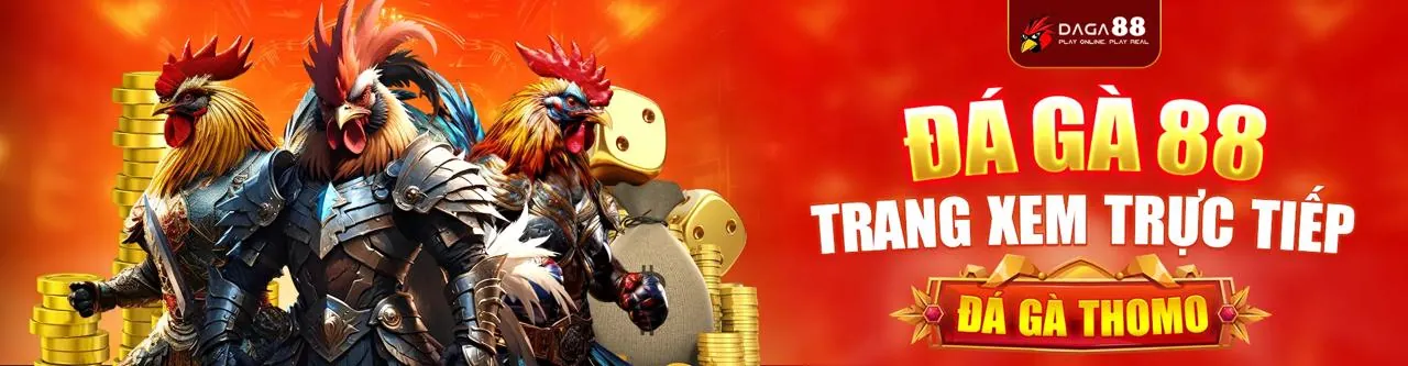 Đấu trường đá gà sôi động tại JSS77 Login
